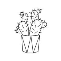 mignonne cactus, intérieur plante dans pot. vecteur isolé illustration. floral dessin dans contour style.