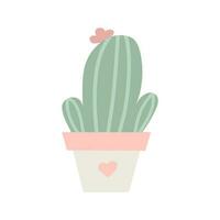 mignonne cactus, intérieur plante dans pot. vecteur isolé illustration. floral dessin dans dessin animé plat style.