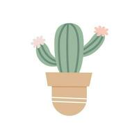 mignonne cactus, intérieur plante dans pot. vecteur isolé illustration. floral dessin dans dessin animé plat style.