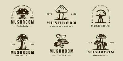 ensemble de champignon logo vecteur ancien illustration modèle icône graphique conception. paquet collection de divers huître biologique nourriture signe ou symbole pour ferme produit avec rétro style