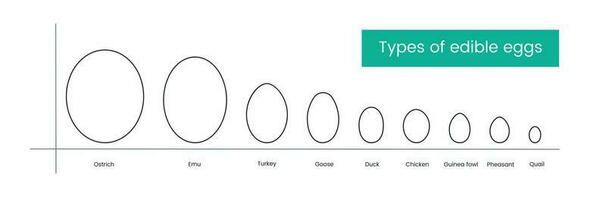 les types de comestible oiseau des œufs ligne icône, vecteur illustration.