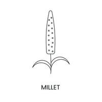 Millet ou proso ligne icône dans vecteur, illustration de une céréale plante. vecteur