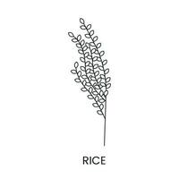 riz ligne icône dans vecteur, illustration de une céréale plante. vecteur