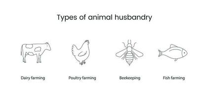 les types de animal agriculture ligne vecteur icône vache, poulet, abeille et poisson.