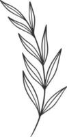 botanique ligne art, vecteur, conception, illustration, graphique, clipart vecteur