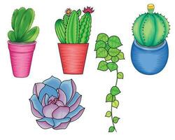 différent cactus sur pot et succulent vecteur illustration sur transparent Contexte