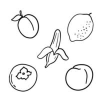 pêche, citron, et banane griffonnage illustrations. contour mignonne des fruits vecteur