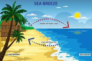 mer brise coups de mer à terre pendant le journée vecteur