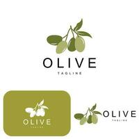 olive logo, olive pétrole plante vecteur, Naturel à base de plantes santé médicament conception, illustration modèle icône vecteur