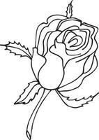 rose, main tiré vecteur illustration, floral ligne dessin, ensemble de monochrome fleur, ligne art, noir et blanc, illustration, vecteur