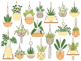 les plantes dans pendaison marmites. décoratif macramé Fait main cintres pour fleur pot, pendre intérieur les plantes isolé vecteur ensemble