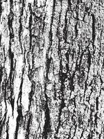 Texture d'écorce d'arbre grunge vecteur