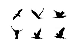 collection d'illustrations vectorielles silhouette oiseau