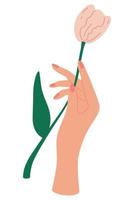 main féminine élégante tient une composition floristique de bouquet décoratif de tulipe avec des feuilles et un concept de carte de fête des mères florissante affiche florale élégante avec illustration vectorielle de tulipes vecteur