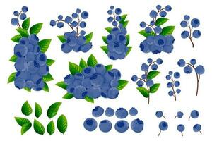 une ensemble de branches, foncé bleu baies et vert feuilles de myrtilles sur une blanc Contexte. décoratif les frontières de baies et des fruits. baie modèle. vecteur illustration.