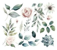 ensemble de aquarelle fleurs feuilles et brindilles sur une blanc Contexte vecteur