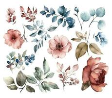 ensemble de aquarelle fleurs feuilles et brindilles sur une blanc Contexte vecteur