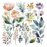 ensemble de aquarelle fleurs feuilles et brindilles sur une blanc Contexte vecteur