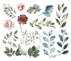 ensemble de aquarelle fleurs feuilles et brindilles sur une blanc Contexte vecteur