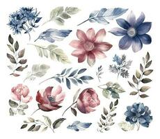 ensemble de aquarelle fleurs feuilles et brindilles sur une blanc Contexte vecteur