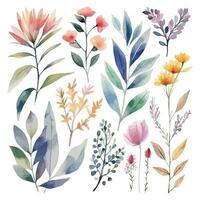 ensemble de aquarelle fleurs feuilles et brindilles sur une blanc Contexte vecteur