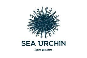 Facile ancien océan mer oursin logo conception icône illustration image vecteur