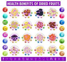 séché des fruits graphique table contenu de vitamines. vecteur