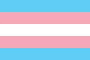 transgenres fierté drapeau. trans fierté drapeau. vecteur