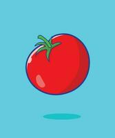 Frais brut tomate dessin animé vecteur icône illustration. légume Naturel nourriture icône concept isolé
