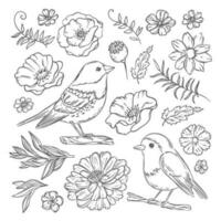 sauvage des oiseaux et fleurs Robin finement main tiré illustration vecteur