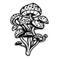 incroyable vecteur clipart, unique dégoulinant icône grouper. noir et blanc champignons vecteur illustration. plat icône champignons isolé sur blanc Contexte