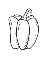 sucré poivre icône avec une tige, vecteur griffonnage illustration, Célibataire esquisser pour conception.