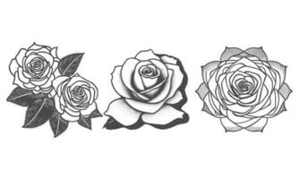 des roses main tiré crayon esquisser, coloration page, et livre, Rose fleur contour, illustration encre art. Rose vecteur art.