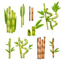 illustration vectorielle de bambou ensemble réaliste vecteur