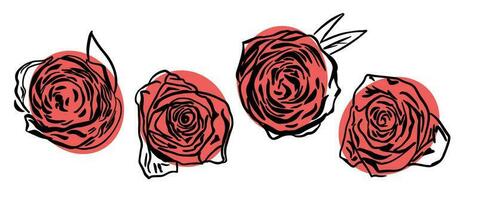 ensemble de des roses dans pastel rose Couleur tiré dans griffonnage style.vecteur illustration.main fabriqué photo. vecteur