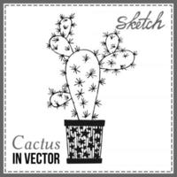 cactus isolé sur fond blanc vecteur