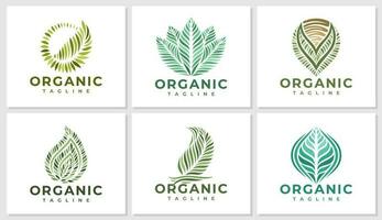 luxe biologique végétalien feuille logo conception ensemble. élégant Naturel plante feuille logo. vecteur