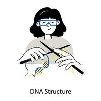branché ADN structure vecteur