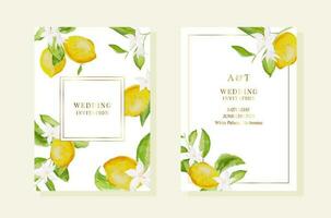 mariage gabarits avec aquarelle citron et feuilles. or cadres vecteur