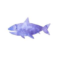 requin illustration aquarelle créature de la mer animal vecteur