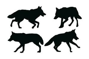 sauvage coyote en marchant silhouette ensemble vecteur sur une blanc Contexte. carnivore sauvage Loup silhouette paquet conception. coyote en marchant et permanent dans différent positions. Loup plein corps silhouette collection.