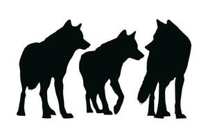 loups en marchant dans différent postes, silhouette ensemble vecteur. adulte Loup silhouette collection sur une blanc Contexte. sauvage carnivore animaux comme loups et coyotes, plein corps silhouette liasses. vecteur