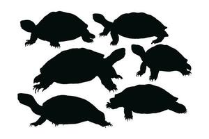 sauvage tortue debout, silhouettes sur une blanc Contexte. mer créatures et reptiles en marchant dans différent positions. tortue plein corps silhouette collection. sauvage tortue silhouette empaqueter. vecteur
