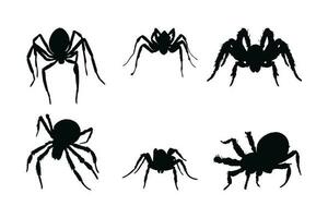 dangereux tarentule les araignées silhouette empaqueter. sauvage insectes séance dans différent positions. araignée plein corps silhouette collection. velu les araignées et insectes séance, silhouettes sur une blanc Contexte vecteur