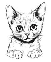 mignonne dessin animé chat vecteur illustration, chat coloration page pour des gamins et adultes. impression conception, T-shirt conception, tatouage conception, mural art, chat mascotte