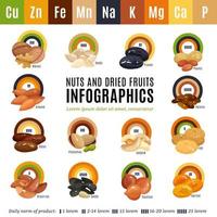 illustration vectorielle de noix infographie plat vecteur