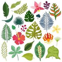 éléments de plantes tropicales mis en illustration vectorielle vecteur