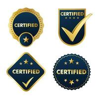 ensemble de certification timbre badge et Étiquettes qualité la gestion système symbole vecteur