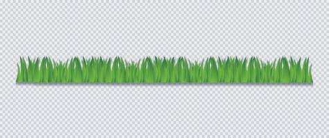 illustration vectorielle de bordure herbe vecteur