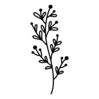 mignonne branche avec feuilles et baies isolé sur blanc Contexte. vecteur dessiné à la main illustration dans griffonnage style. parfait pour cartes, logo, décorations, divers conceptions. botanique clipart.